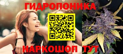 винт Будённовск